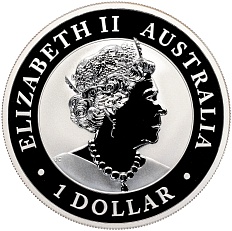 1 доллар 2020 года Австралия «Австралийский брамби» — Фото №2