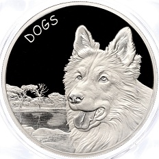 50 центов 2023 года Фиджи «Собаки — Овчарка» — Фото №1