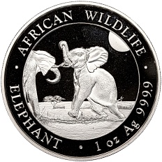 100 шиллингов 2024 года Сомали «Африканская дикая природа — Африканский слон» — Фото №1