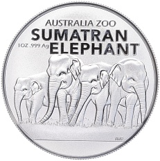1 доллар 2022 года Австралия «Австралийский зоопарк — Суматранский слон» — Фото №1