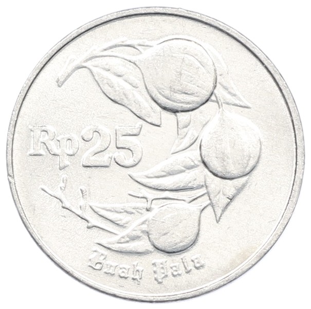 25 рупий 1995 года Индонезия — Фото №1