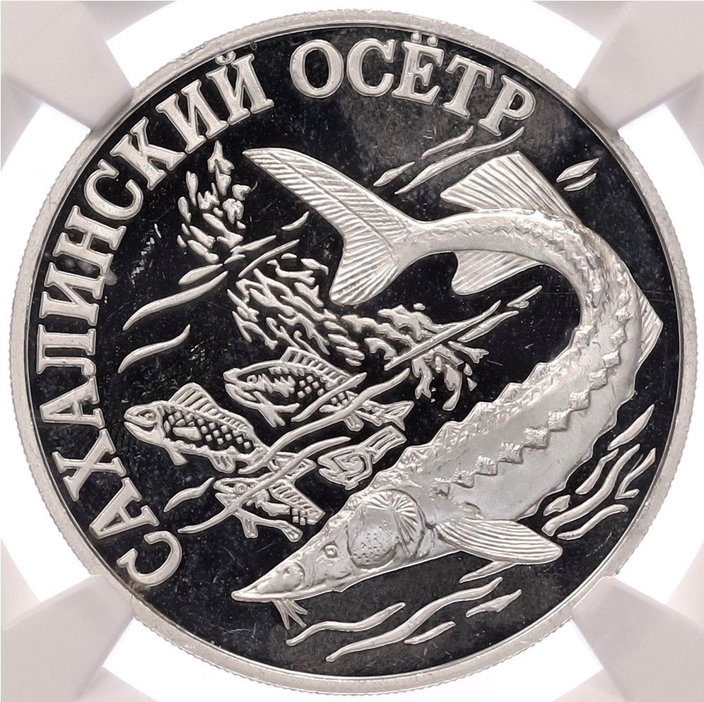 1 рубль 2001 года СПМД «Красная книга — Cахалинский осетр» в слабе NGC (PF64 ULTRA CAMEO) — Фото №1