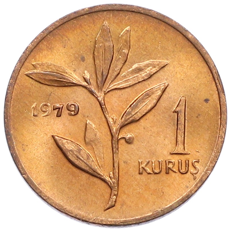 1 куруш 1979 года Турция «ФАО — Планирование семьи» — Фото №2