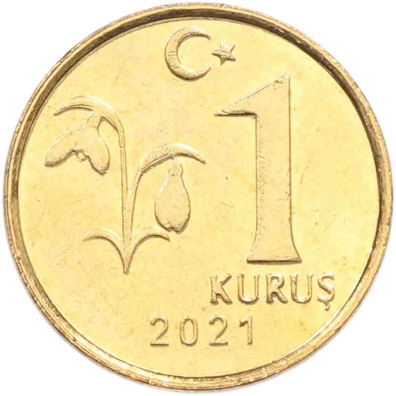 1 куруш 2021 года Турция — Фото №1
