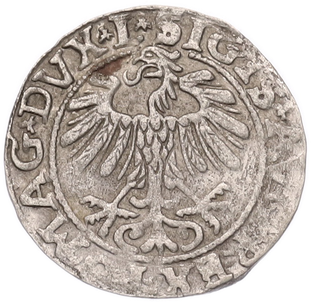 1/2 гроша 1557 года Литва — Фото №2