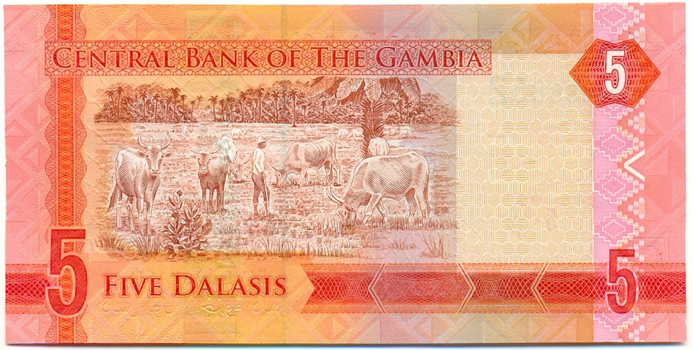 5 даласи 2015 года Гамбия — Фото №2