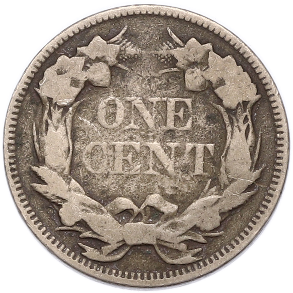 1 цент 1857 года США — Фото №2