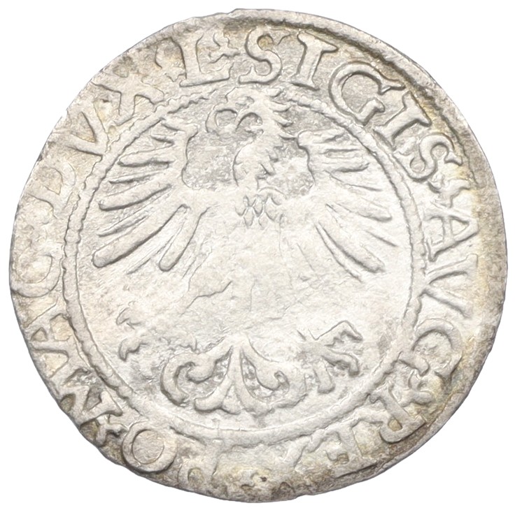 1/2 гроша 1561 года Литва — Сигизмунд II Август — Фото №2