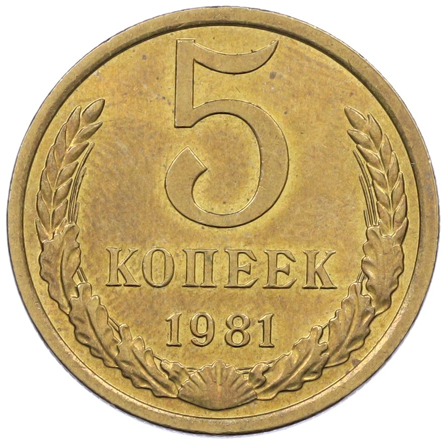 5 копеек 1981 года СССР — Фото №1