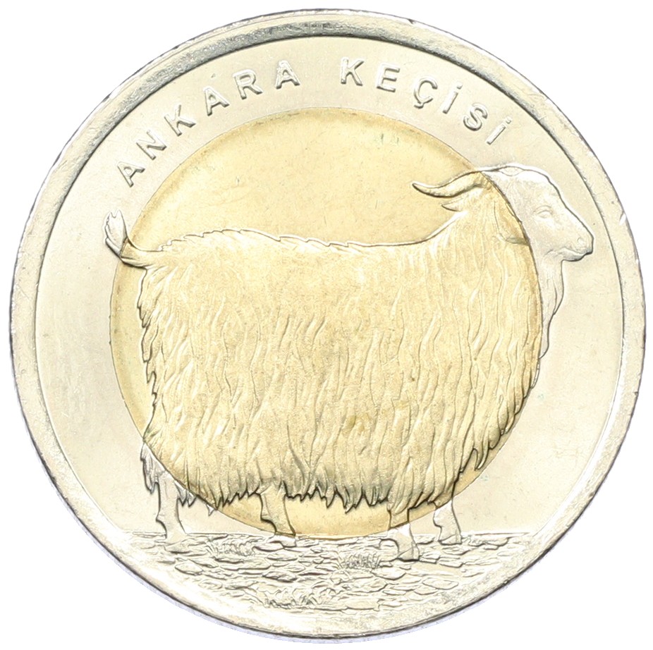 1 лира 2015 года Турция «Фауна Турции — Ангорская коза» — Фото №1