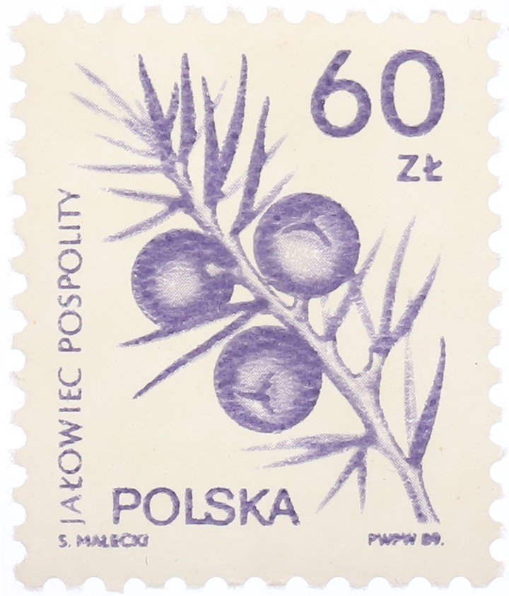 Почтовая марка 60 злотых 1989 года Польша — Фото №1