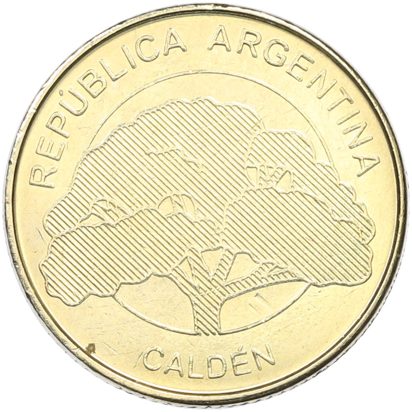 10 песо 2018 года Аргентина — Фото №2