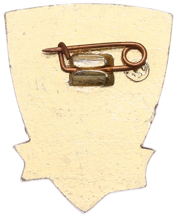 Значок «Гвардия — 25 лет» — Фото №2