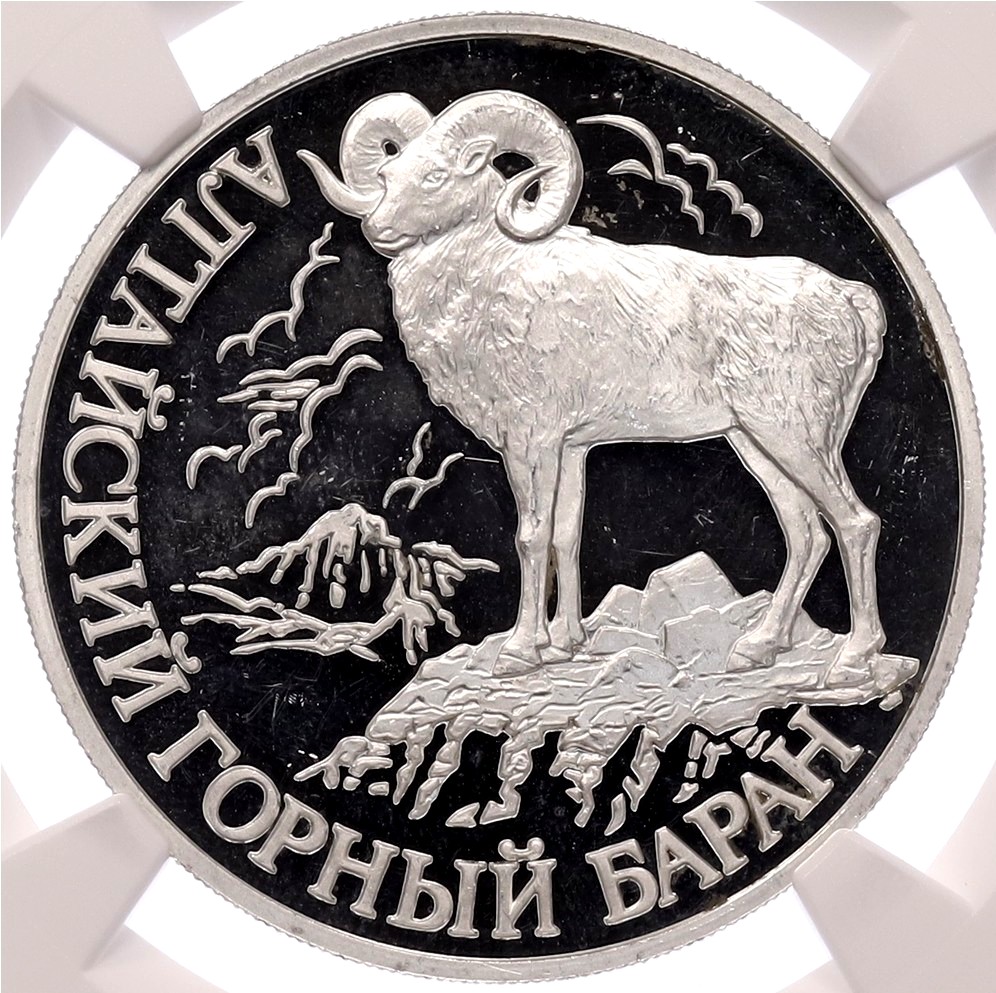 1 рубль 2001 года СПМД «Красная книга — Алтайский горный баран» в слабе NGC (PF63 ULTRA CAMEO) — Фото №1