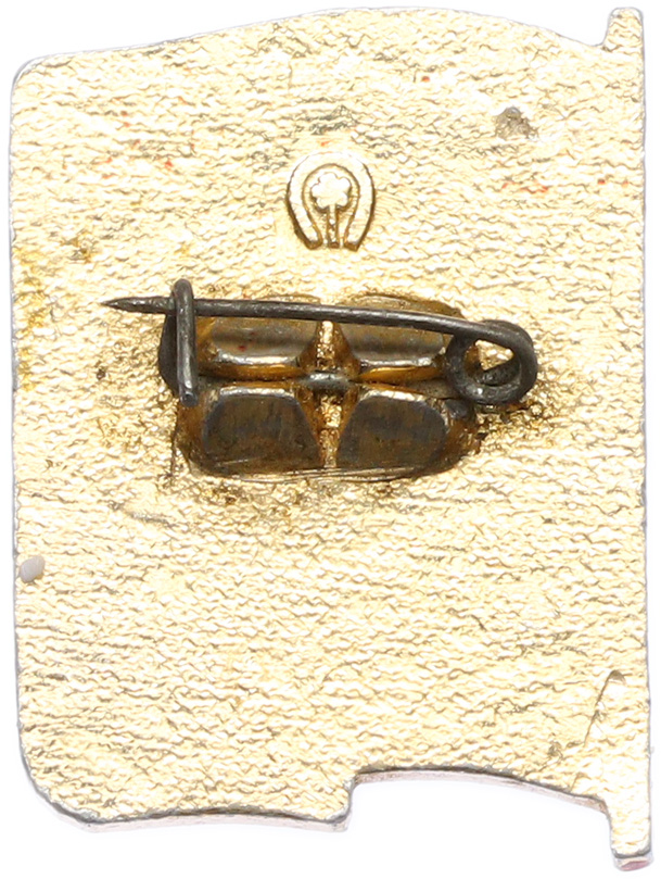 Значок «Депутат районного совета» — Фото №2