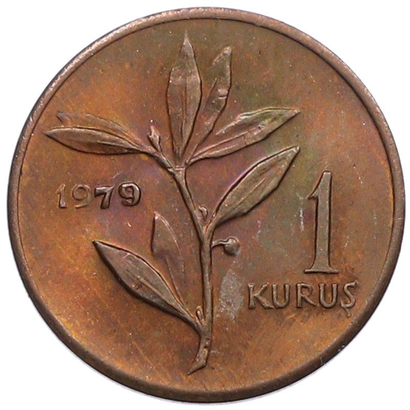 1 куруш 1979 года Турция «ФАО — Планирование семьи» — Фото №2