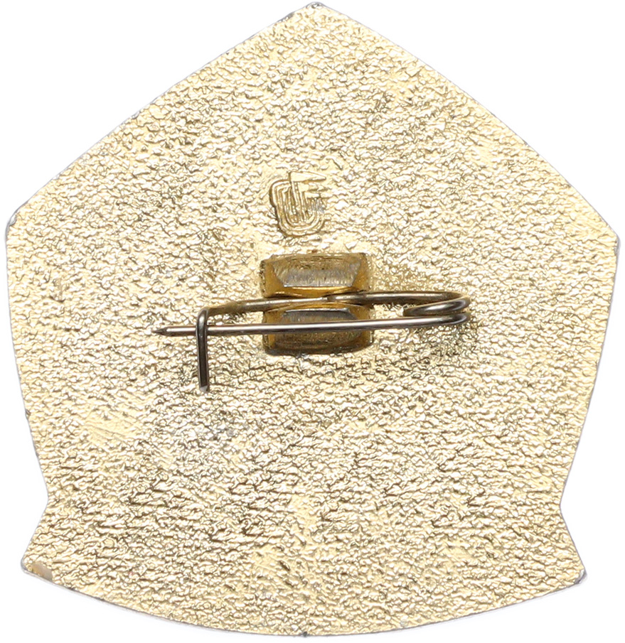 Значок «Пионерский лагерь Юный космонавт» — Фото №2