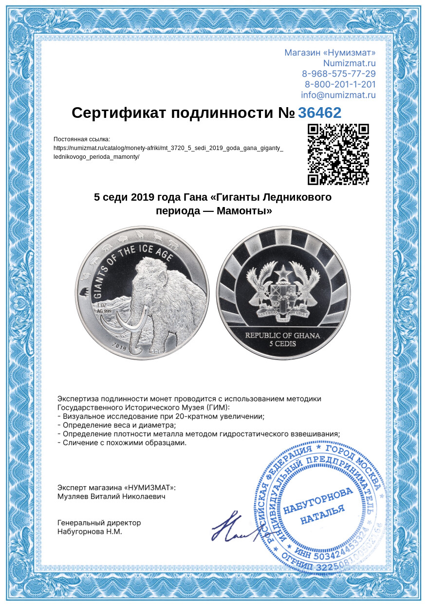 5 седи 2019 года Гана «Гиганты Ледникового периода — Мамонты» — Фото №3