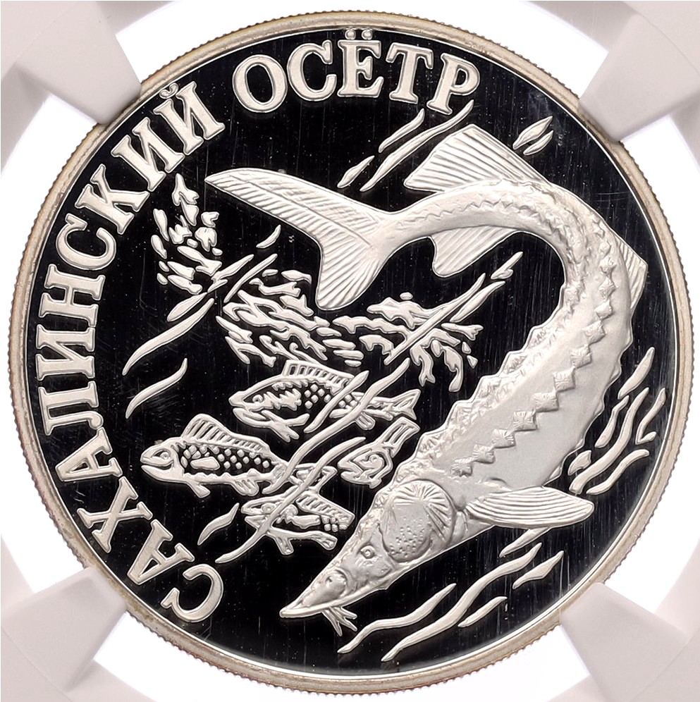 1 рубль 2001 года СПМД «Красная книга — Cахалинский осетр» в слабе NGC (PF69 ULTRA CAMEO) — Фото №1