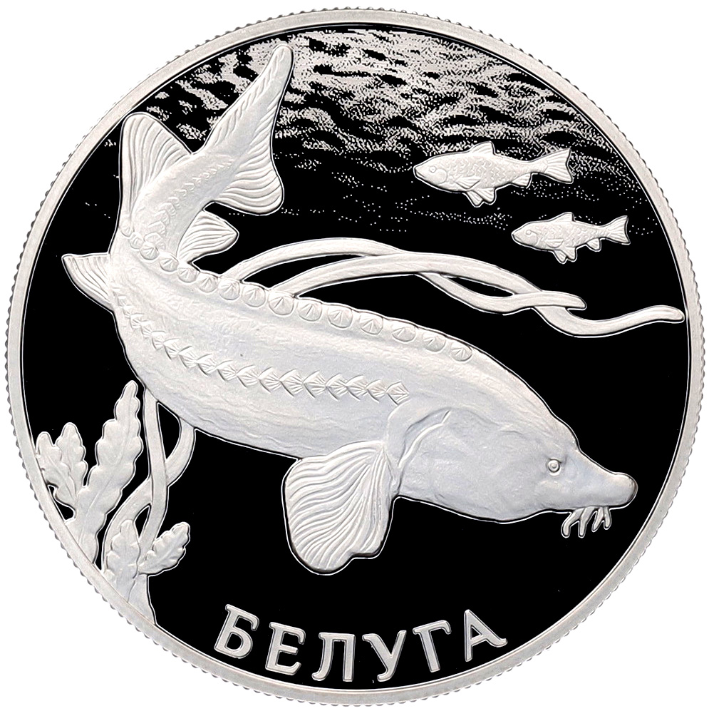 2 рубля 2019 года СПМД «Красная книга — Белуга» — Фото №1