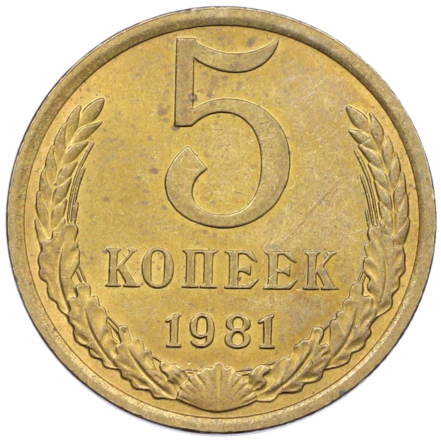 5 копеек 1981 года СССР — Фото №1