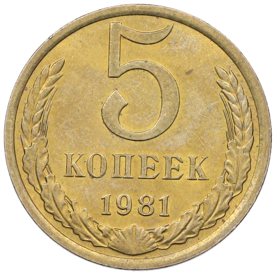 5 копеек 1981 года СССР — Фото №1
