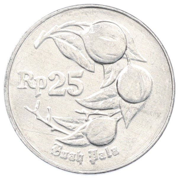 25 рупий 1994 года Индонезия — Фото №1