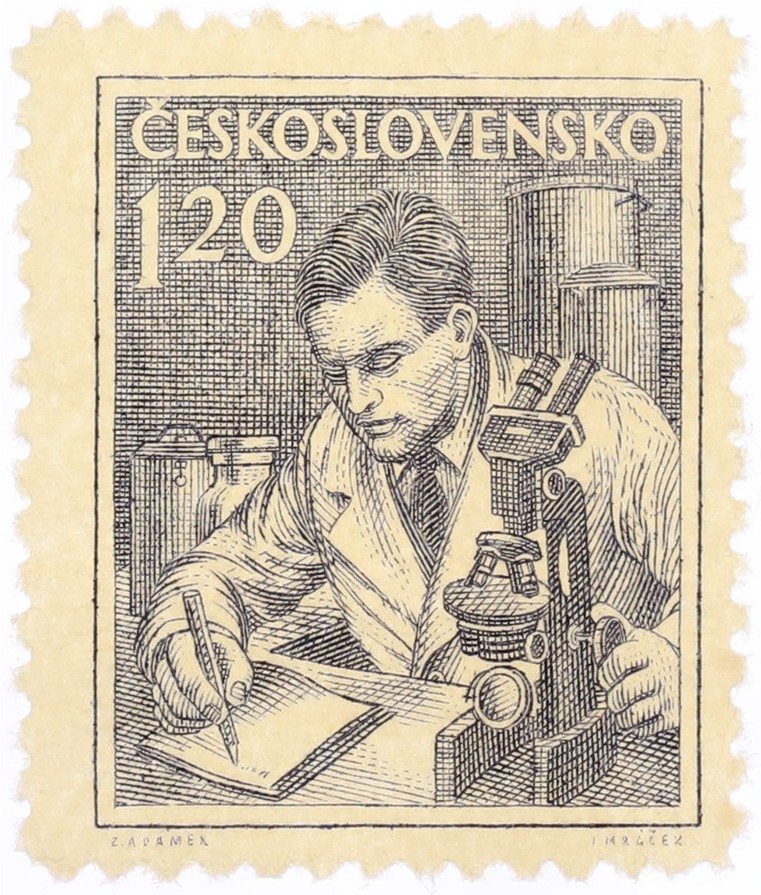 Почтовая марка 1.20 кроны 1954 года Чехословакия — Фото №1