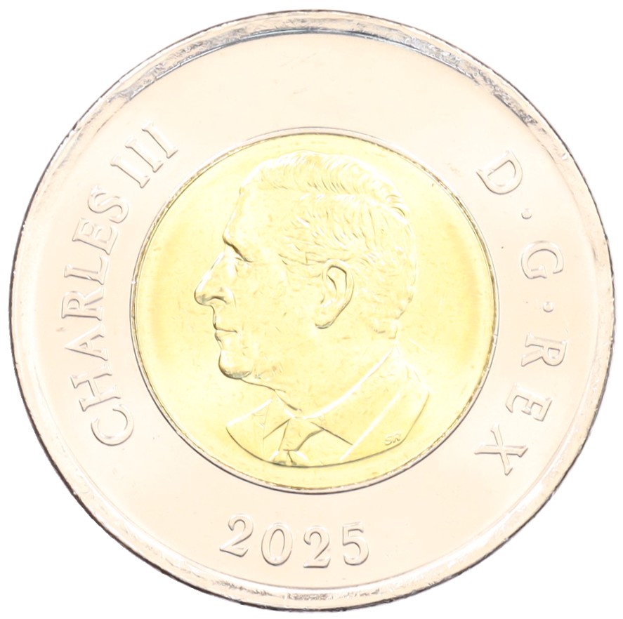 2 доллара 2025 года Канада «Чествование неизвестного солдата Канады» (Цветное покрытие) — Фото №2