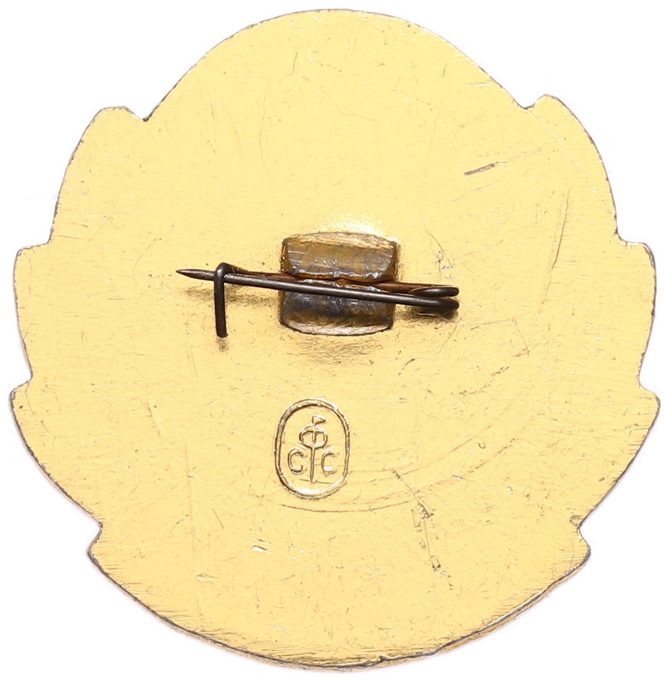 Значок «50 лет МАЗ (Минский автозавод)» — Фото №2