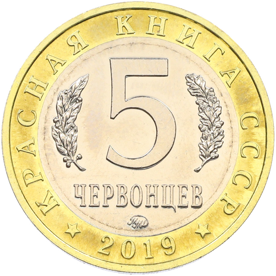 Монетовидный жетон 5 червонцев 2019 года ММД «Красная книга СССР — Гигантская бурозубка» — Фото №2
