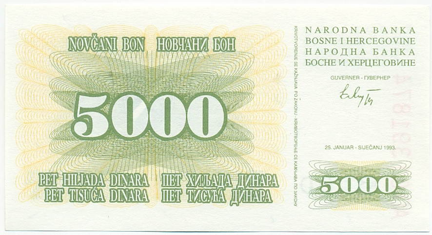 5000 динаров 1993 года Босния и Герцеговина — Фото №1