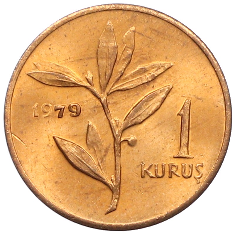 1 куруш 1979 года Турция «ФАО — Планирование семьи» — Фото №2