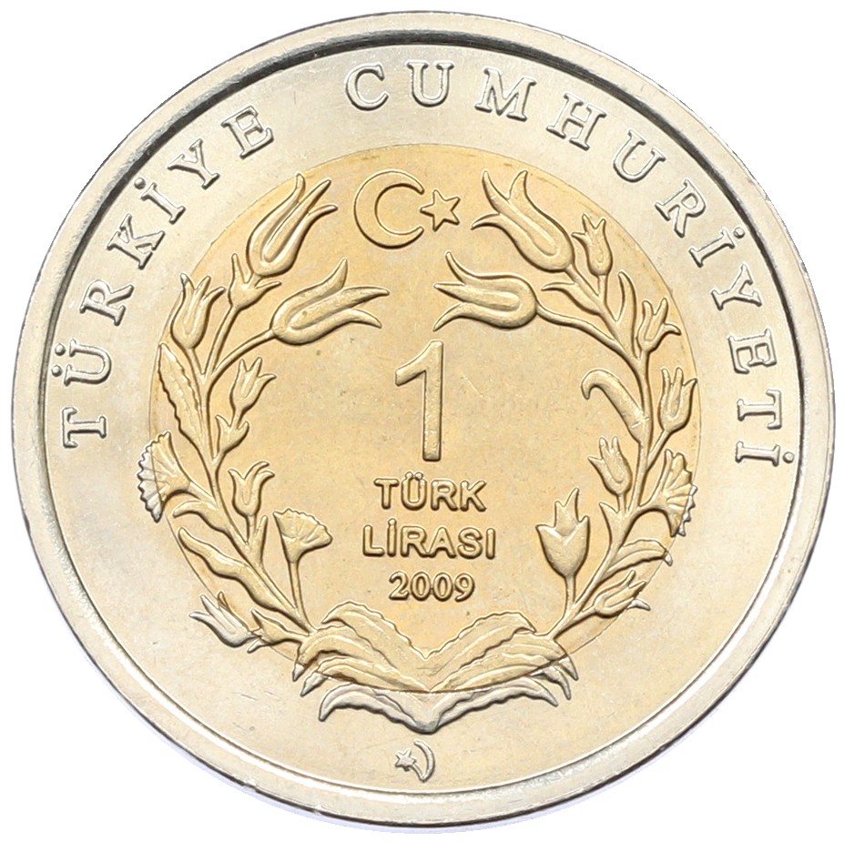 1 лира 2009 года Турция «Фауна Турции — Морская черепаха» — Фото №2