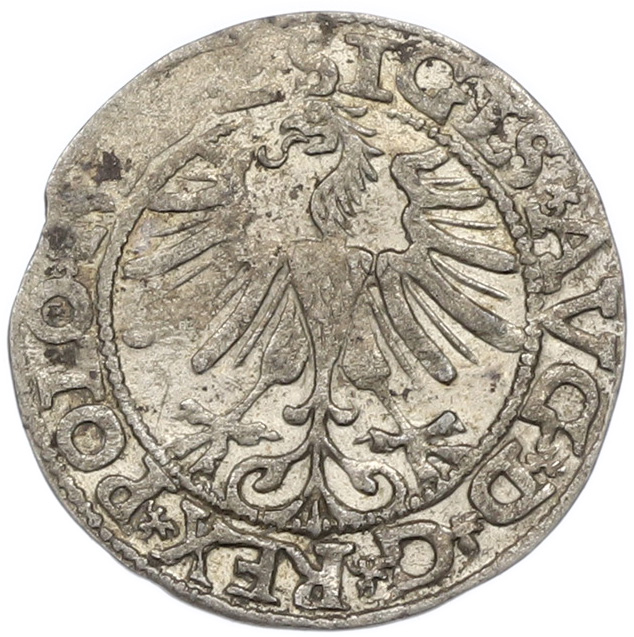 1/2 гроша 1565 года Литва — Фото №2