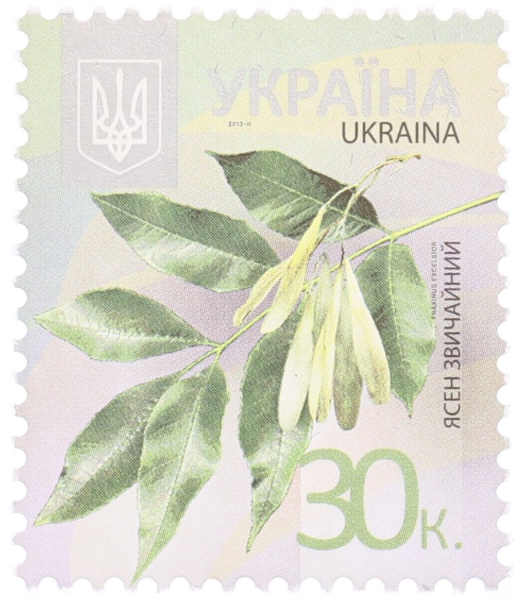 Почтовая марка 30 копеек 2013 года Украина «Деревья» — Фото №1