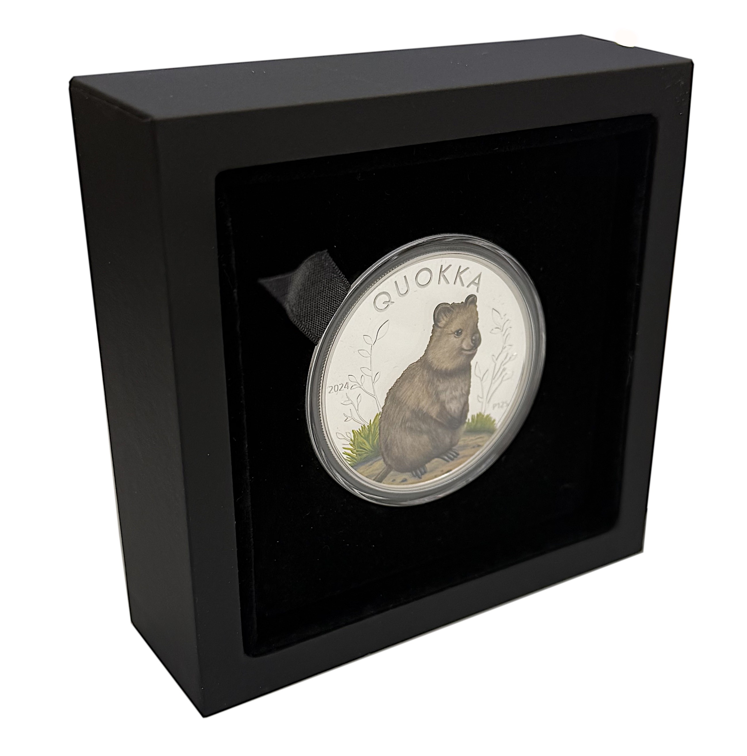 1 доллар 2024 года Австралия «Квокка» (Цветное покрытие) — Фото №4