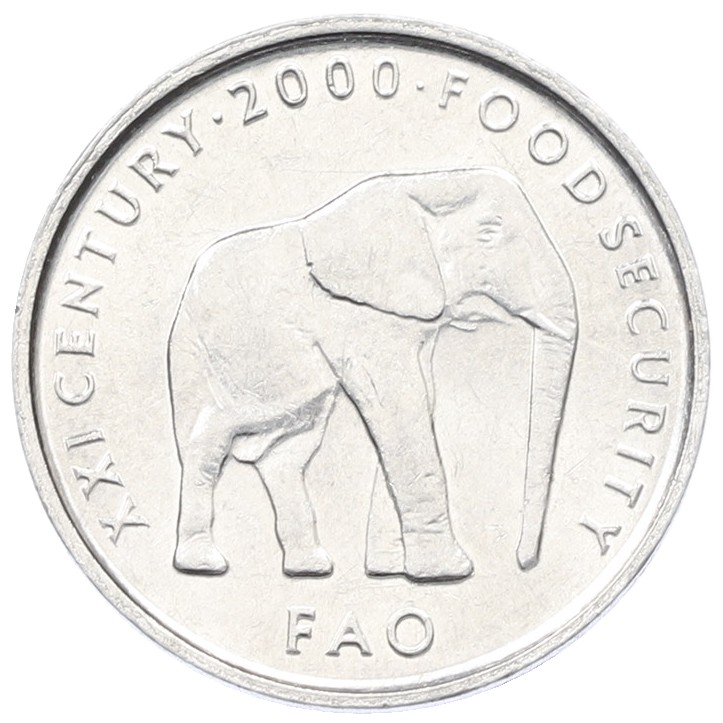 5 шиллингов 2000 года Сомали — Фото №1