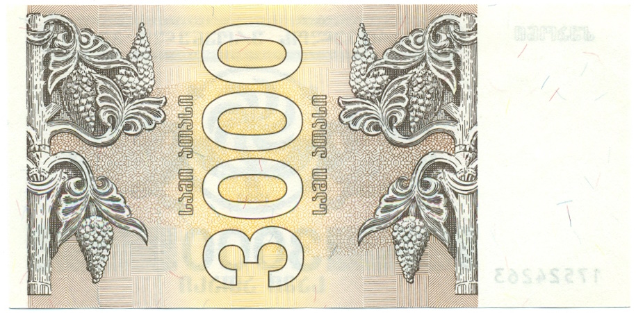 3000 купонов 1993 года Грузия — Фото №2