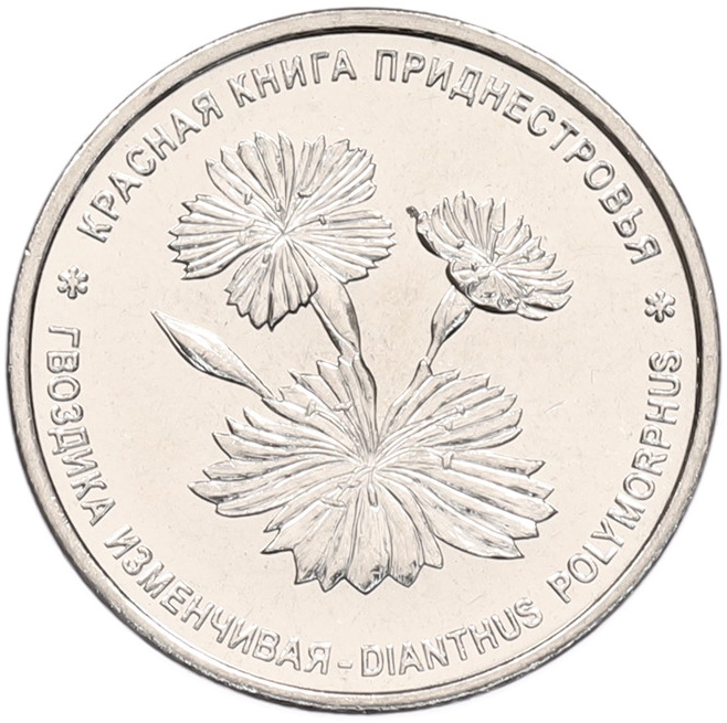 1 рубль 2025 года Приднестровье «Красная книга — Гвоздика изменчивая» — Фото №1