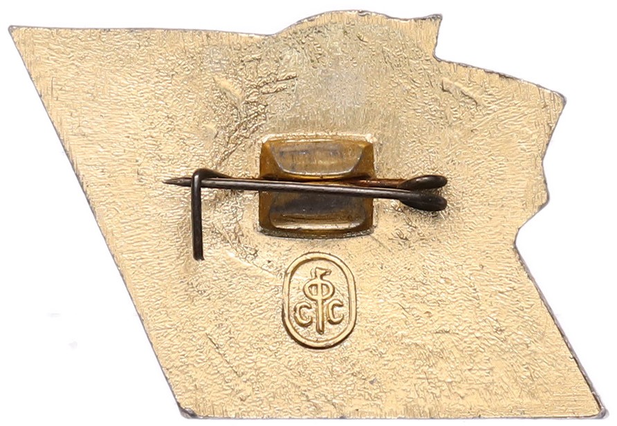 Значок «Орленок» — Фото №2