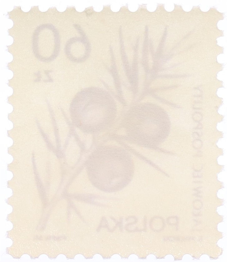 Почтовая марка 60 злотых 1989 года Польша — Фото №2