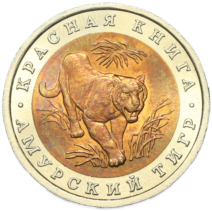 10 рублей 1992 года ЛМД «Красная книга — Амурский тигр» — Фото №1