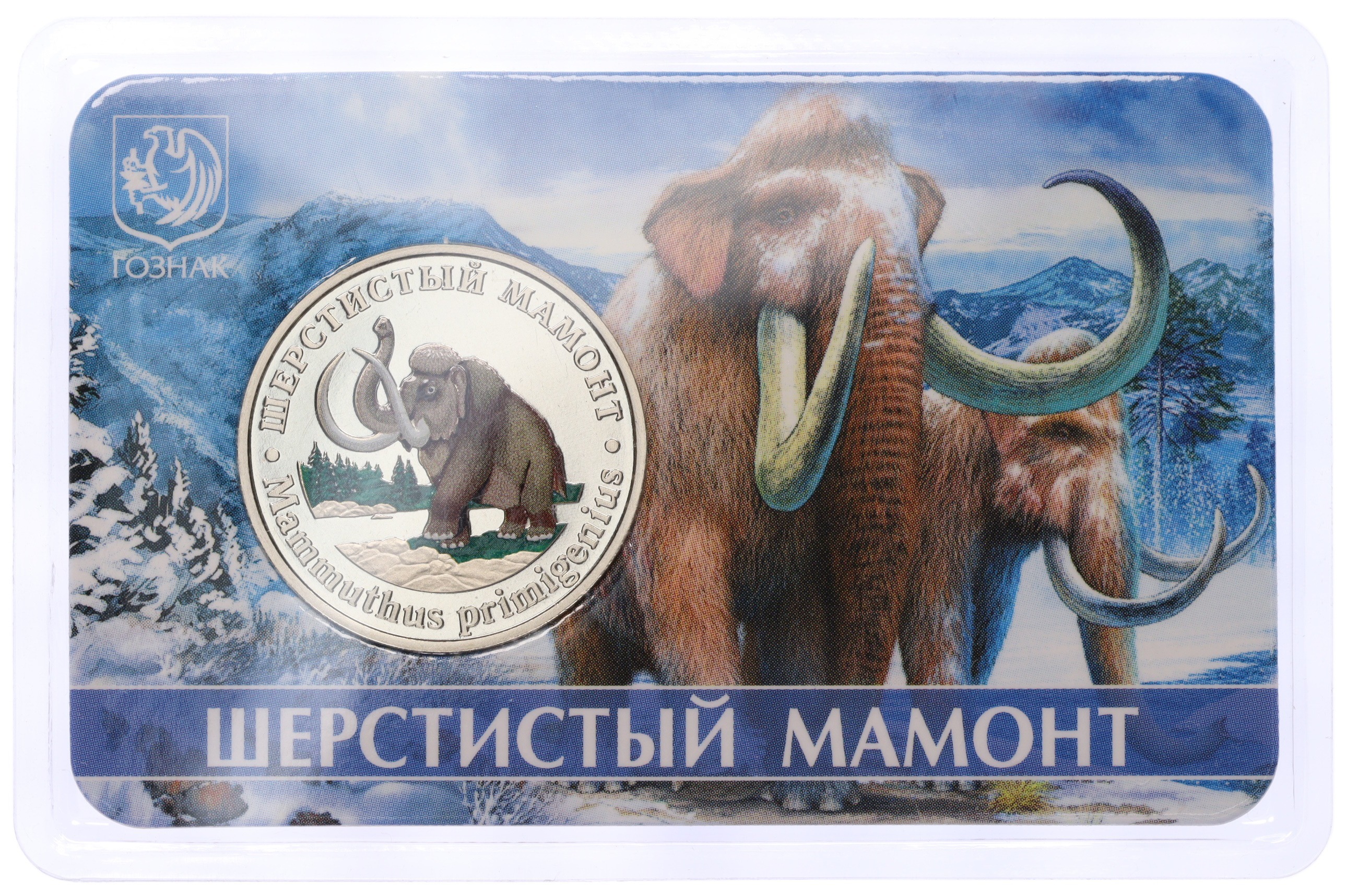 Монетовидный жетон 5 червонцев 2023 года ММД «Исчезнувшие виды — Шерстистый мамонт» — Фото №3