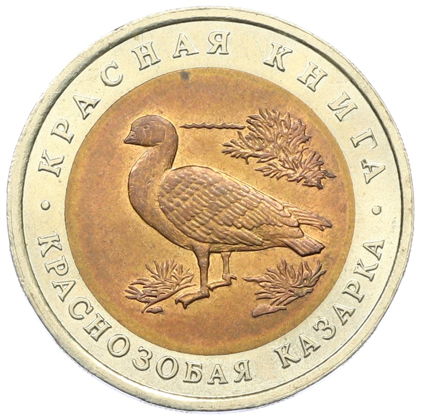 10 рублей 1992 года ЛМД «Красная книга — Краснозобая казарка» — Фото №1