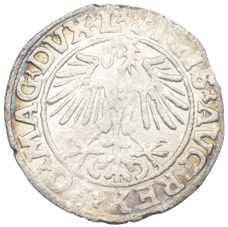1/2 гроша 1549 года Литва — Сигизмунд II Август — Фото №2