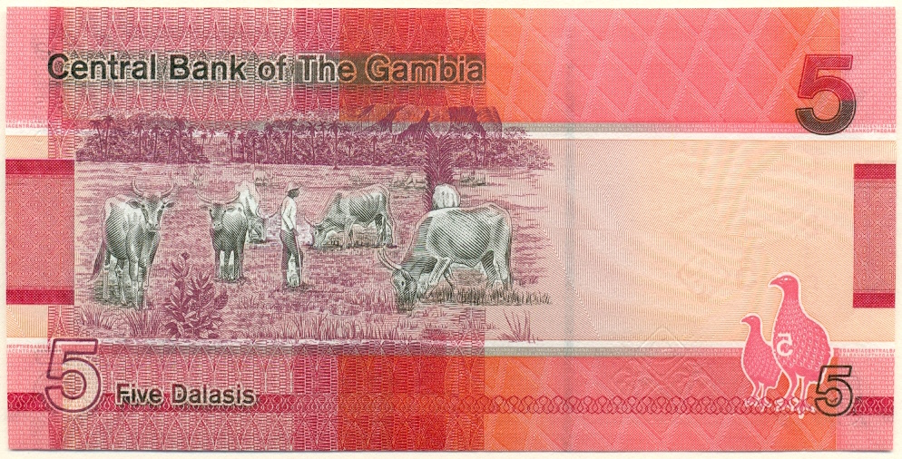 5 даласи 2023 года Гамбия — Фото №2