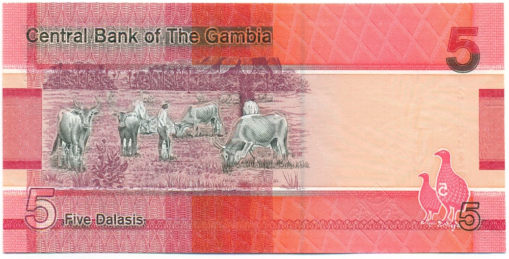 5 даласи 2019 года Гамбия — Фото №2