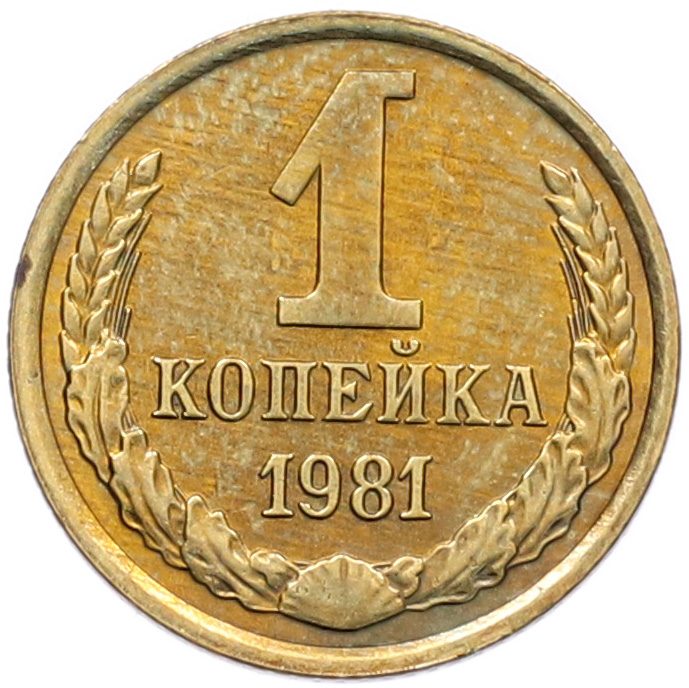 1 копейка 1981 года СССР — Фото №1