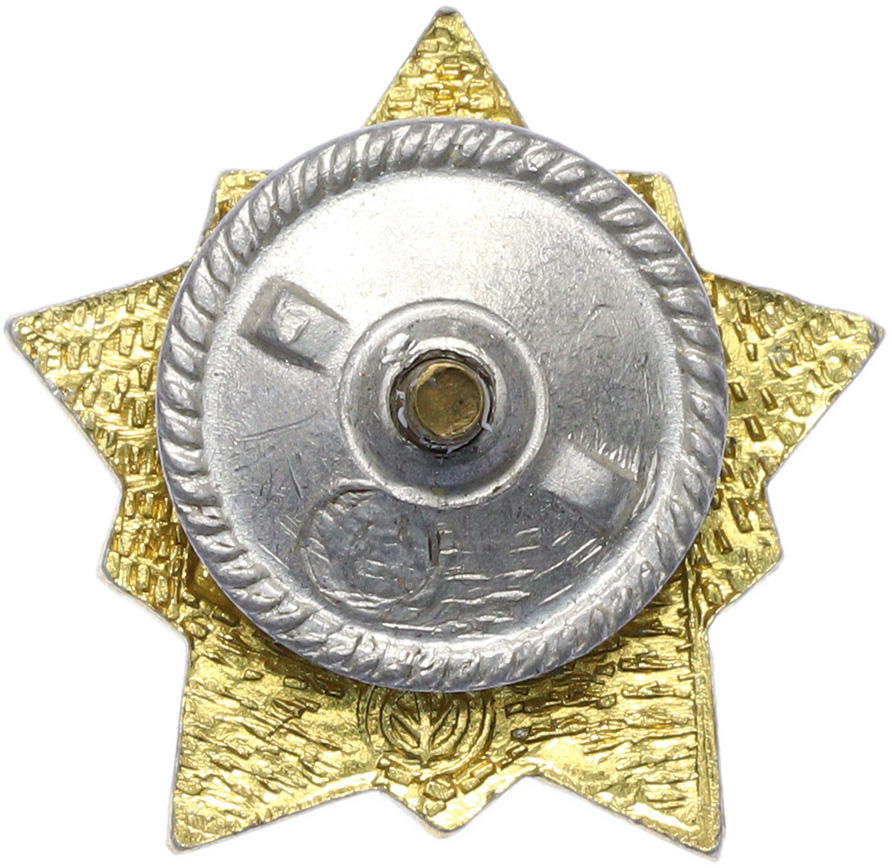 Значок «Воин-спортсмен» II степени — Фото №2